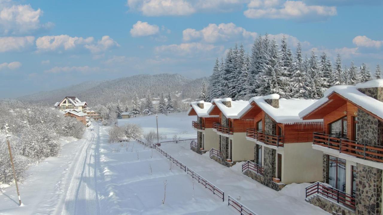 Villa Mtashi Bakuriani Exterior foto